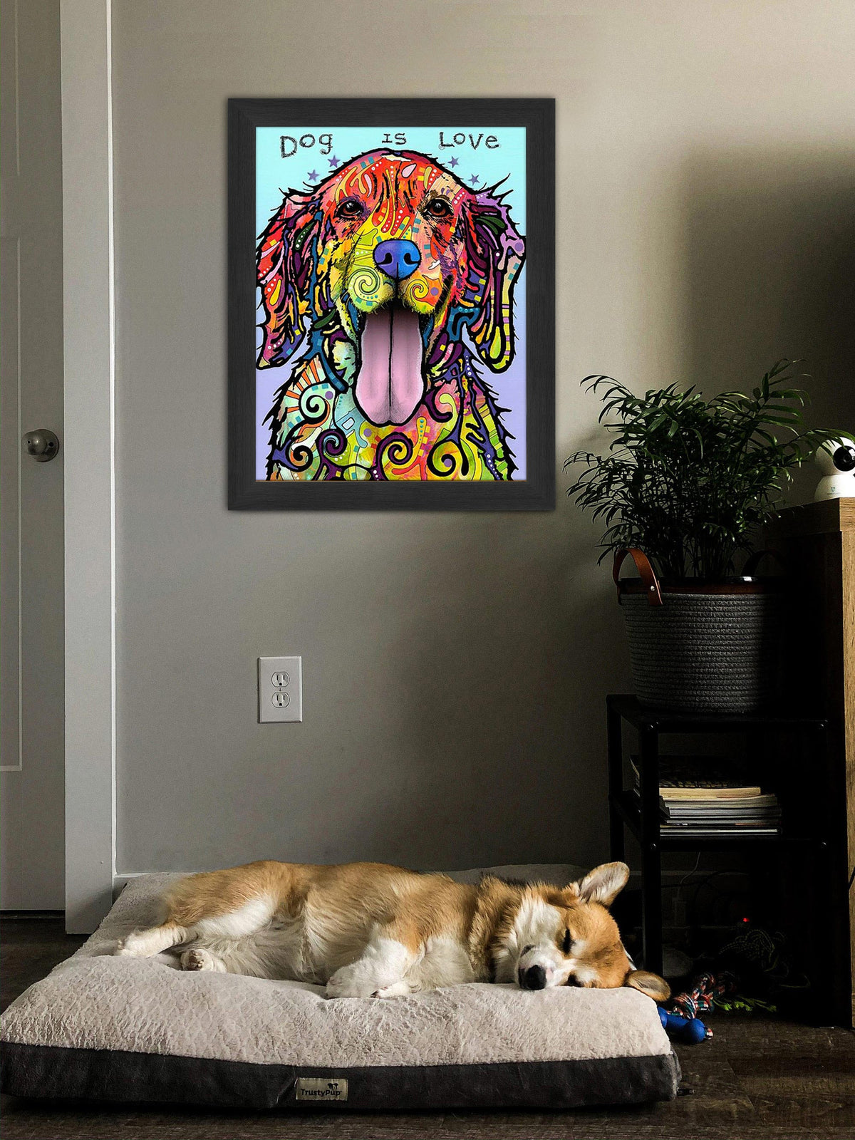Lab Love Colorful Framed Canvas Wall Art (33.5x23.5)-3