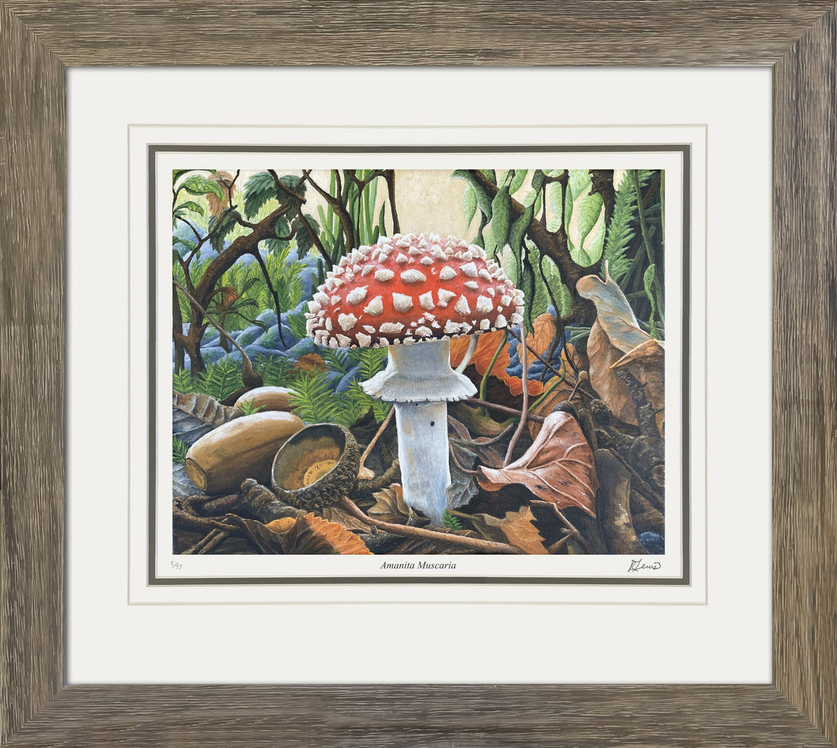Amanita Muscaria - Framed Art Print /77 by Ryan Lewis (31x24)-1