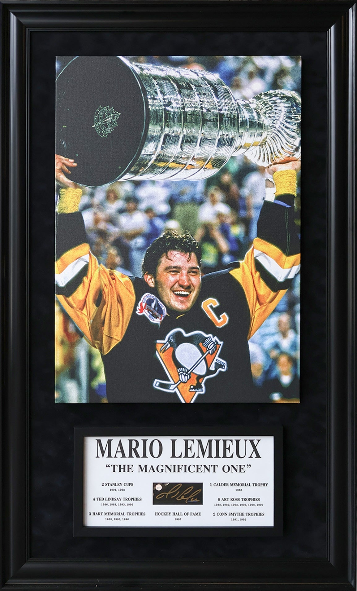 Mario Lemieux Signature Plaque & Canvas (49.5x29.5)-1