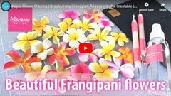 Creatables Frangipani Flower Die-2