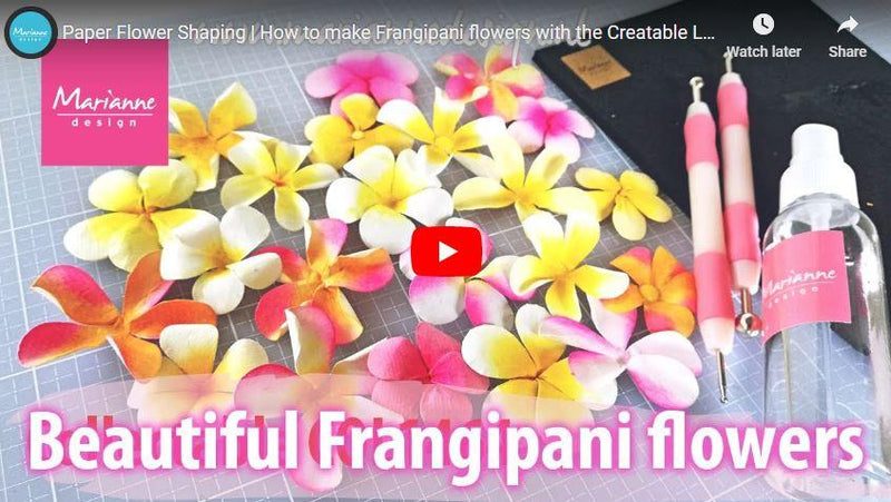 Creatables Frangipani Flower Die-2