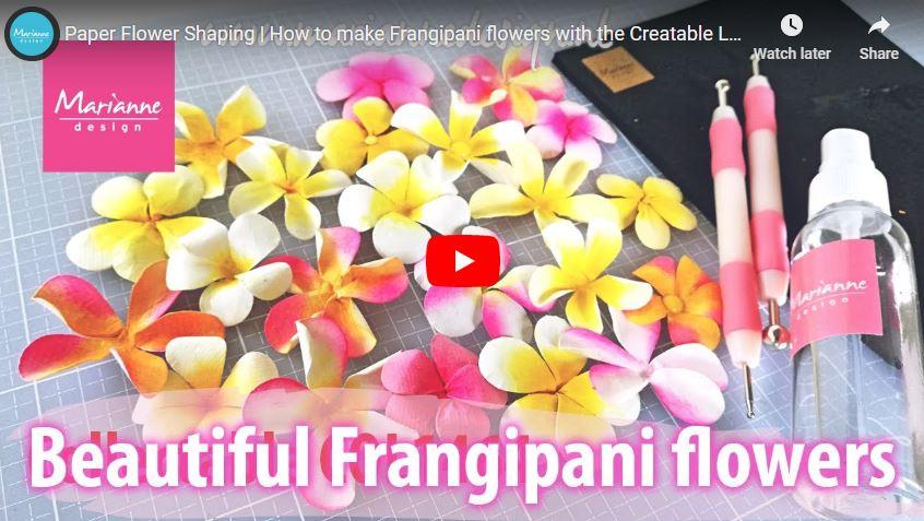 Creatables Frangipani Flower Die-2