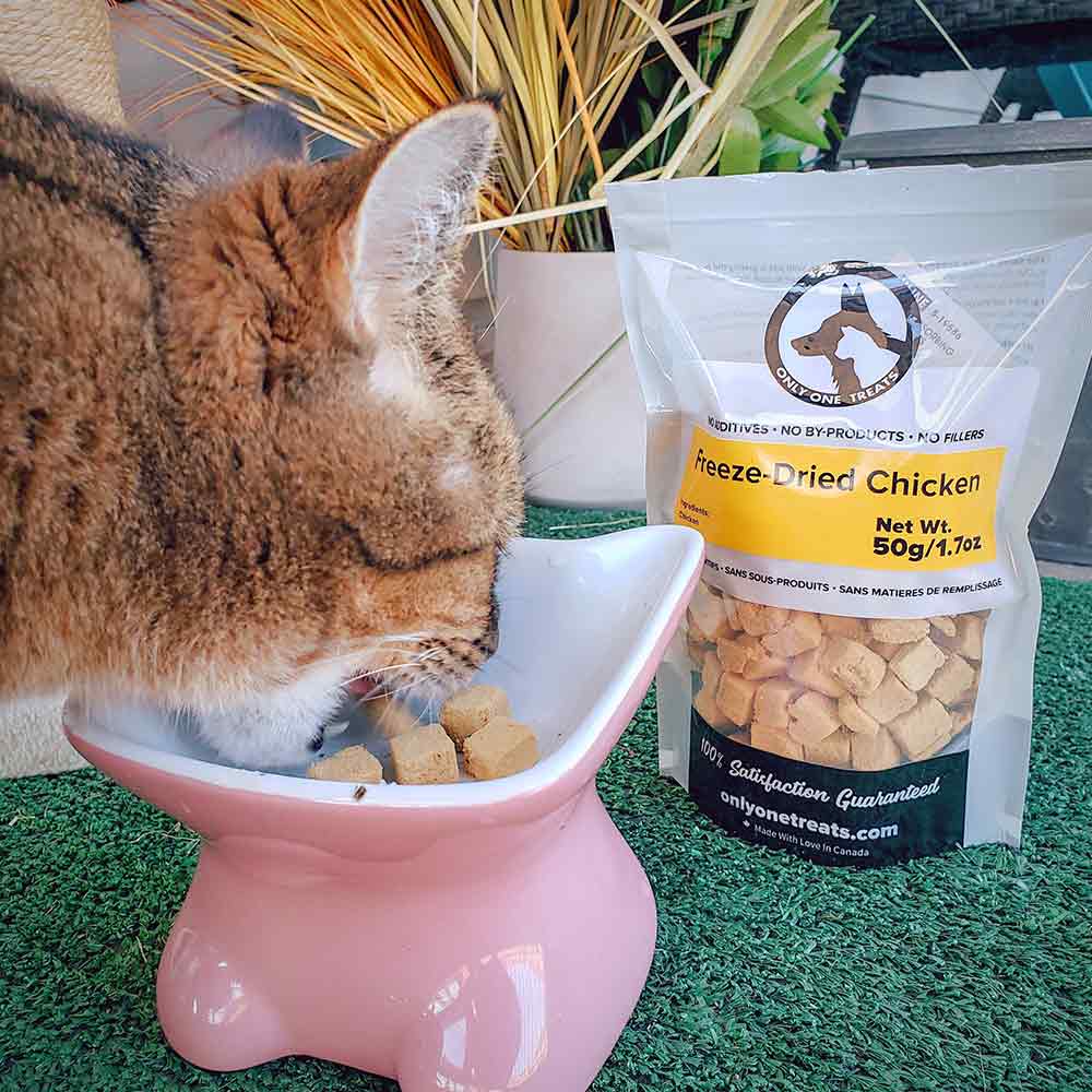 Freeze-Dried Chicken 50g-4