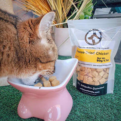 Freeze-Dried Chicken 50g-4