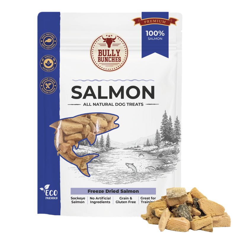 Freeze Dried Salmon 100g / 3.5oz-1