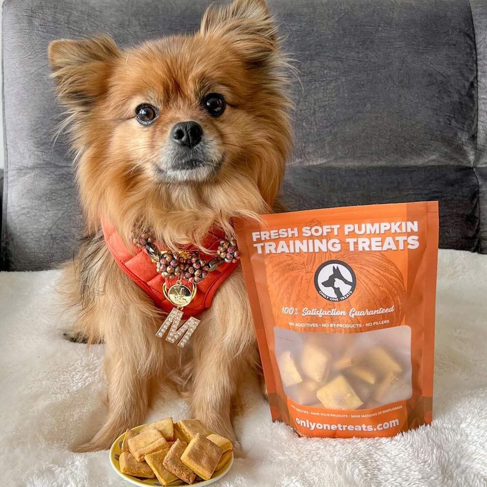 Fresh Soft Pumpkin Training Treats 170g-5
