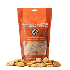 Fresh Soft Pumpkin Training Treats 680g-1