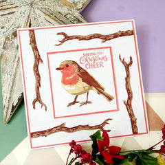 Pour l'amour des timbres - superposition du rouge-gorge-4