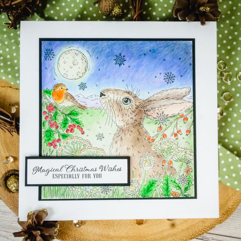 For The Love Of Stamps - Winter Hare A5 Stamp Set-3