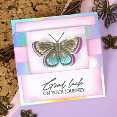 For The Love Of Stamps - Layering Common Blue Butterfly-3