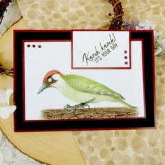 For The Love Of Stamps - Layering Woodpecker-3