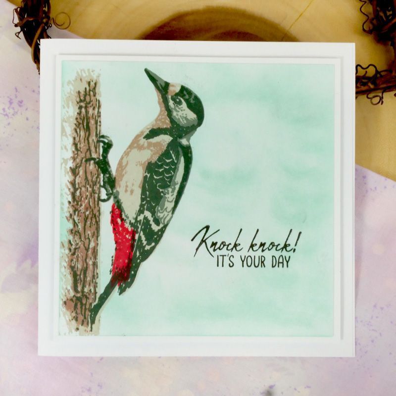For The Love Of Stamps - Layering Woodpecker-2