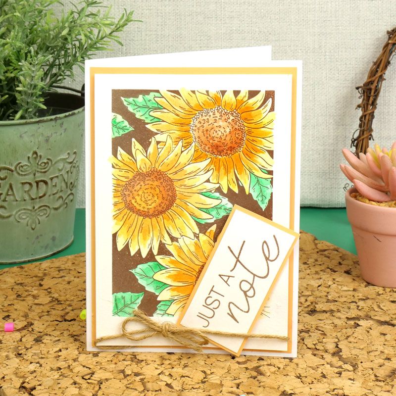 Pour l'amour des timbres - Tournesols spectaculaires-6
