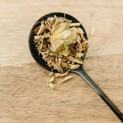 Organic Ginger Ale Tea-2