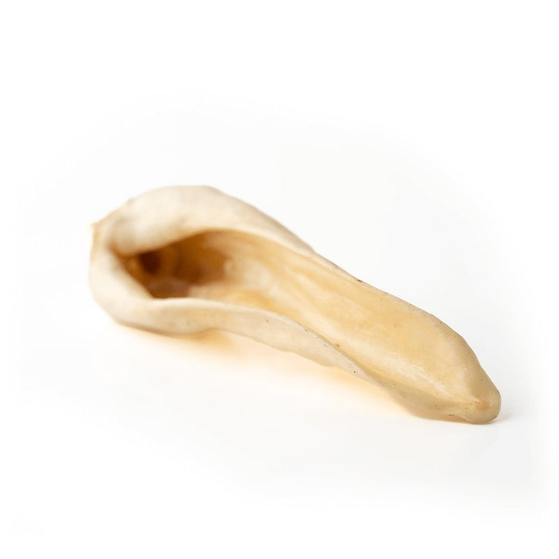Goat Ear-3