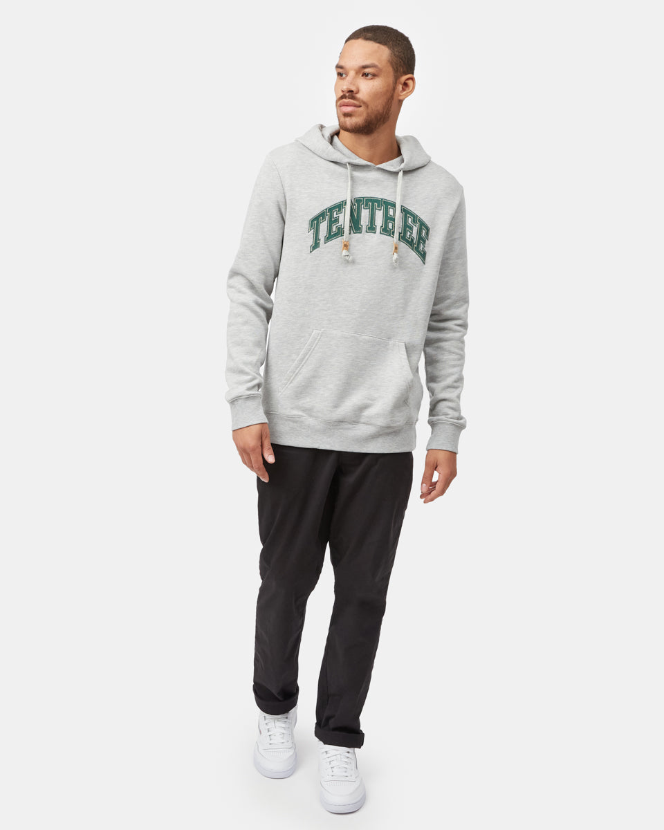 Tentree Arch Hoodie-2