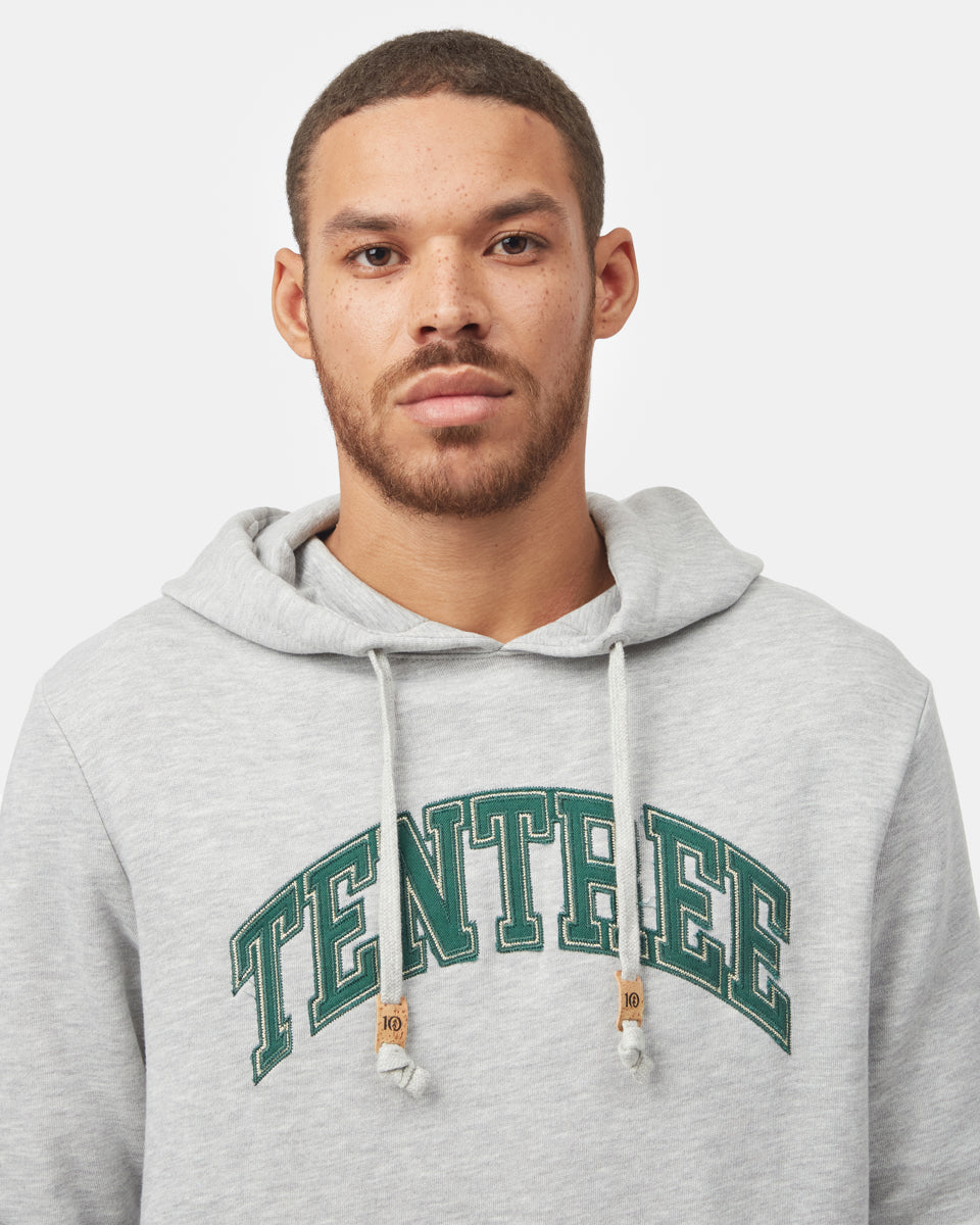 Tentree Arch Hoodie-4