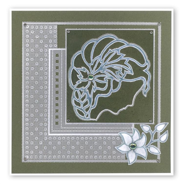 Groovi Amaryllis Cameo A6 Plate-4