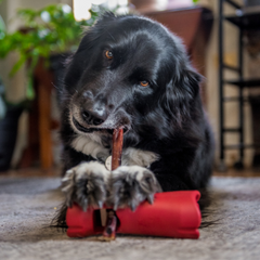 Bully Stick Safety Holder-2