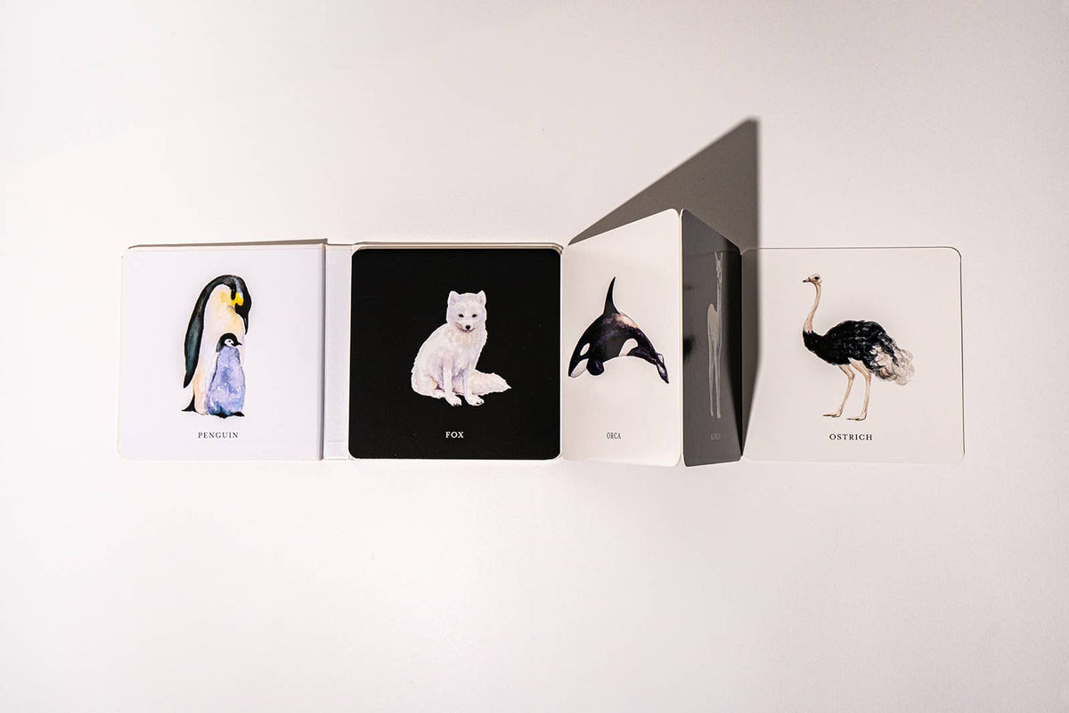 Paige Tate & Co. - Black and White Contrast Book - Ages 0–12 Months-3