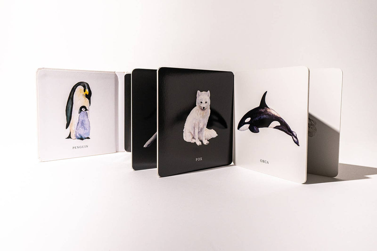 Paige Tate & Co. - Black and White Contrast Book - Ages 0–12 Months-4