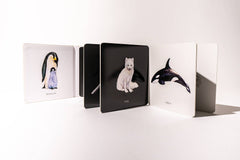 Paige Tate & Co. - Black and White Contrast Book - Ages 0–12 Months-4
