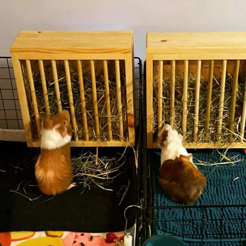 Mounted Hay Feeder for Rabbits & Guinea Pigs-5