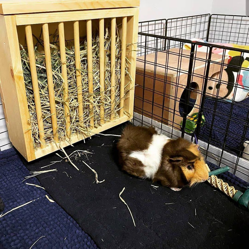 Mounted Hay Feeder for Rabbits & Guinea Pigs-6