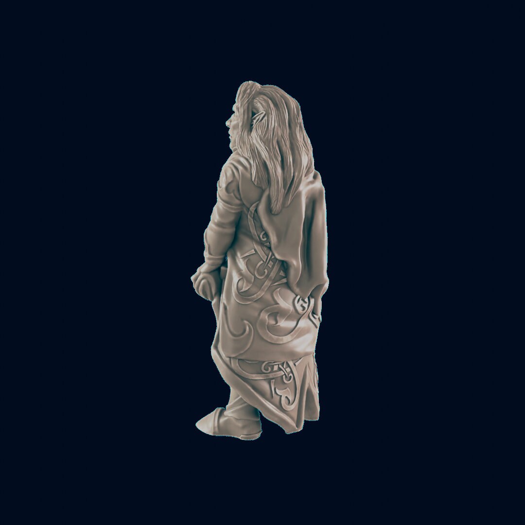 Elf Male Noble - EC3D | DnD | Elf | Villager minis | merchant | 32mm | Pathfinder | Noble | TTRPG | Wargaming-2