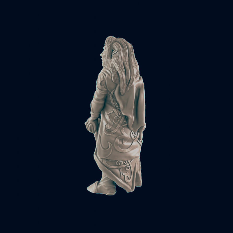 Elf Male Noble - EC3D | DnD | Elf | Villager minis | merchant | 32mm | Pathfinder | Noble | TTRPG | Wargaming-2