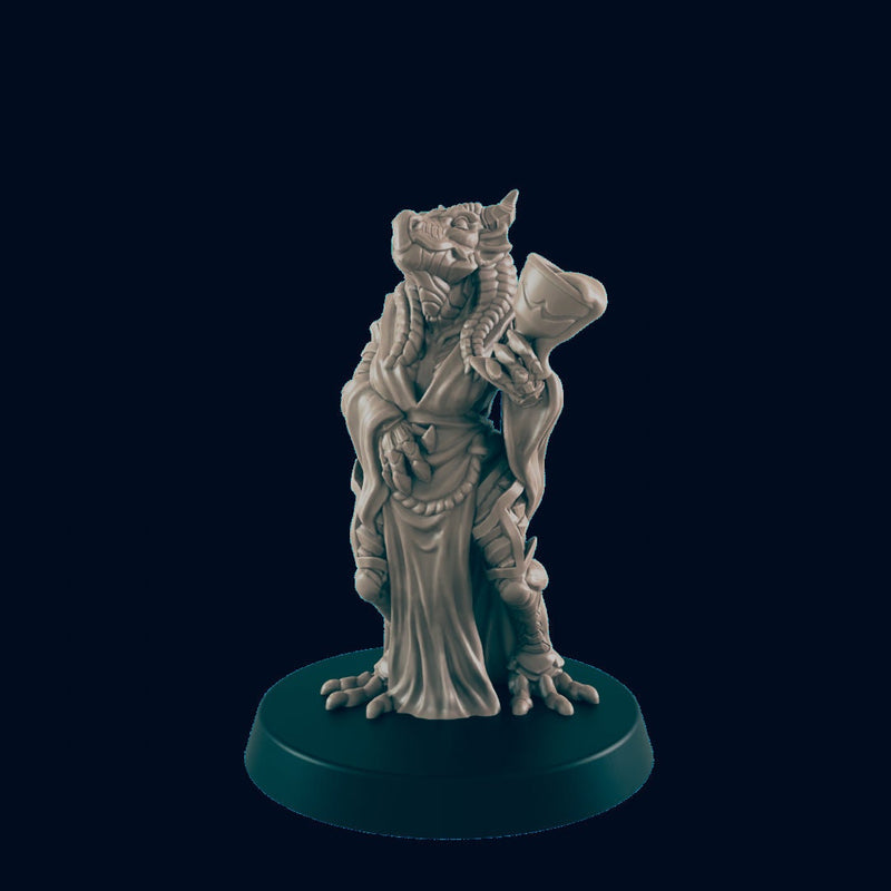 Dragonborn Female Noble - EC3D | DnD | Dragonborn | Villager minis | Commoner | 32mm | Pathfinder | Frostgrave | TTRPG | Wargaming-1