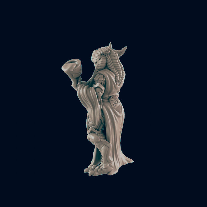 Dragonborn Female Noble - EC3D | DnD | Dragonborn | Villager minis | Commoner | 32mm | Pathfinder | Frostgrave | TTRPG | Wargaming-2