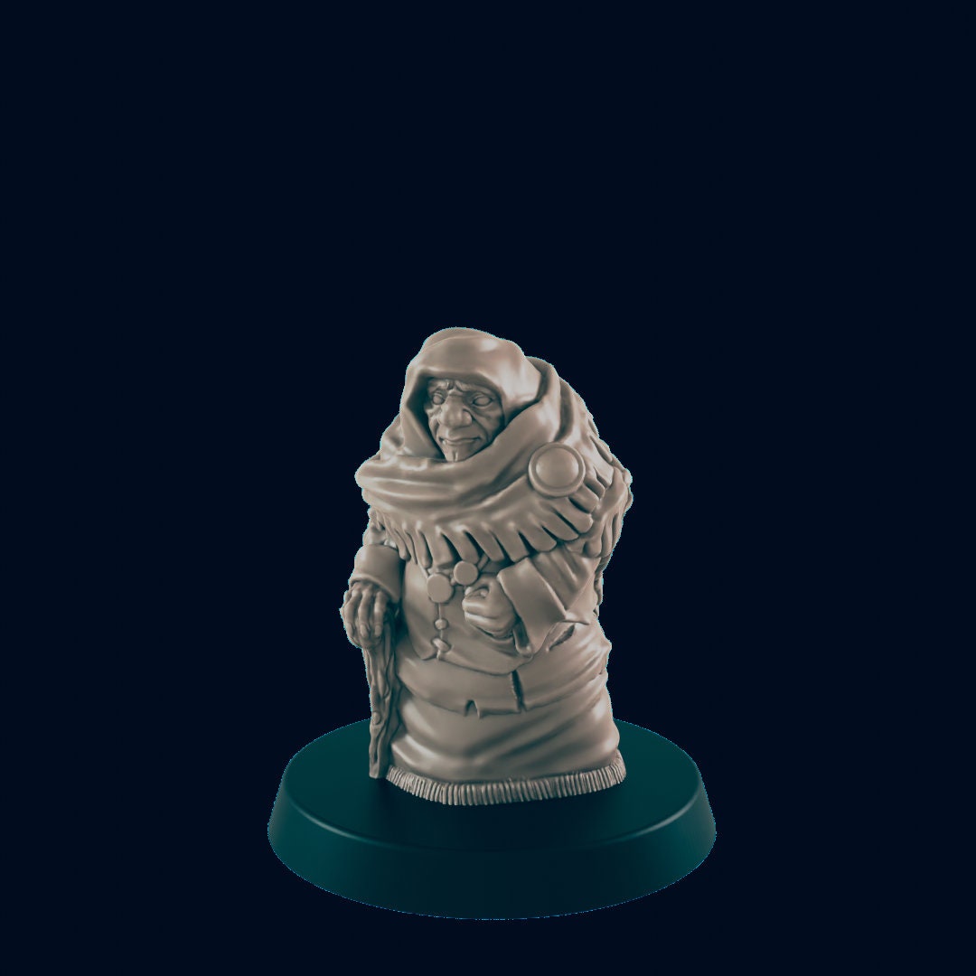 Human Woman Grandmother DnD Mini- EC3D |Villager minis | peasant | PC/NPC | 32mm | Pathfinder | commoner | TTRPG | Wargaming | Frostgrave