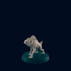 Gnoll Hunting Pack Mini Set - EC3D, DnD Monster | Archer, Melee 32mm | Pathfinder | Fantasy | Shaman | Wargaming | Frostgrave | Hyena | Set-3