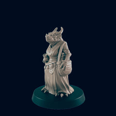Dragonborn Female Shopper - EC3D | DnD | Dragon | Female | Villager | Peasant | 32mm | Pathfinder | commoner | TTRPG | Wargaming-1