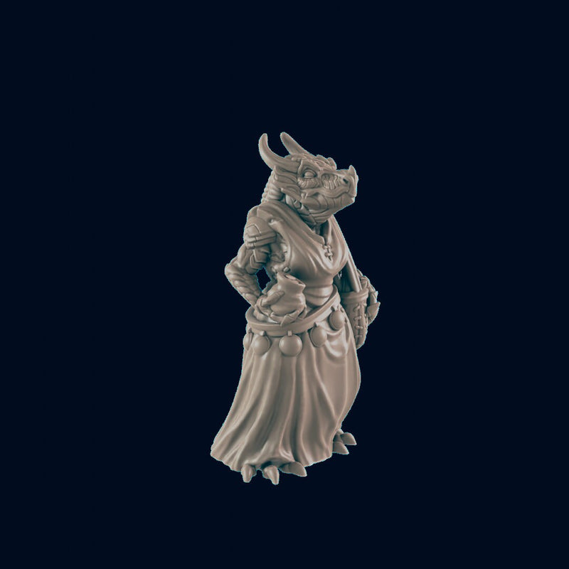 Dragonborn Female Shopper - EC3D | DnD | Dragon | Female | Villager | Peasant | 32mm | Pathfinder | commoner | TTRPG | Wargaming-2