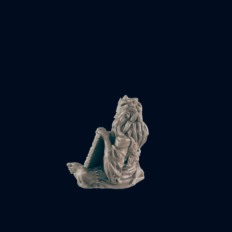 Human Begger with Sign - EC3D | DnD | Male | Peasant | Villager | Destitute | 32mm | Pathfinder | commoner | TTRPG | Wargaming-2