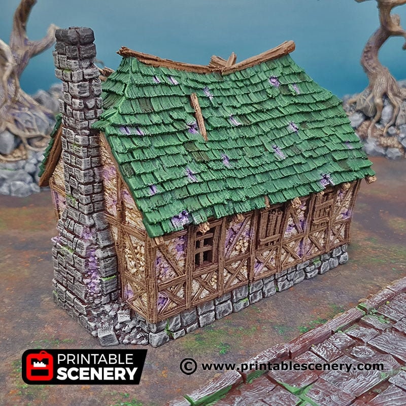 Mimic House - Shadowfey Ruins, DnD, Pathfinder 15mm, 28mm, 32mm, wargaming terrain, haunted, scatter, building, medieval-5