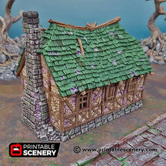 Mimic House - Shadowfey Ruins, DnD, Pathfinder 15mm, 28mm, 32mm, wargaming terrain, haunted, scatter, building, medieval-5