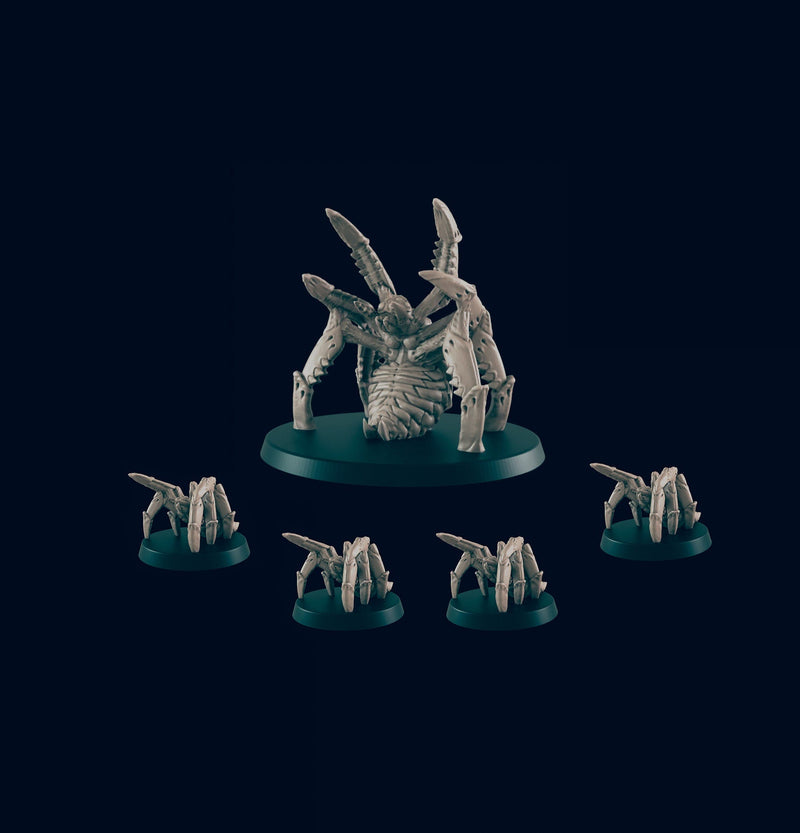 5 Spider Miniature Pack - EC3D | DnD | Monster | Large | Big | Underdark | 32mm | Pathfinder | commoner | TTRPG | Wargaming | Mountain-1