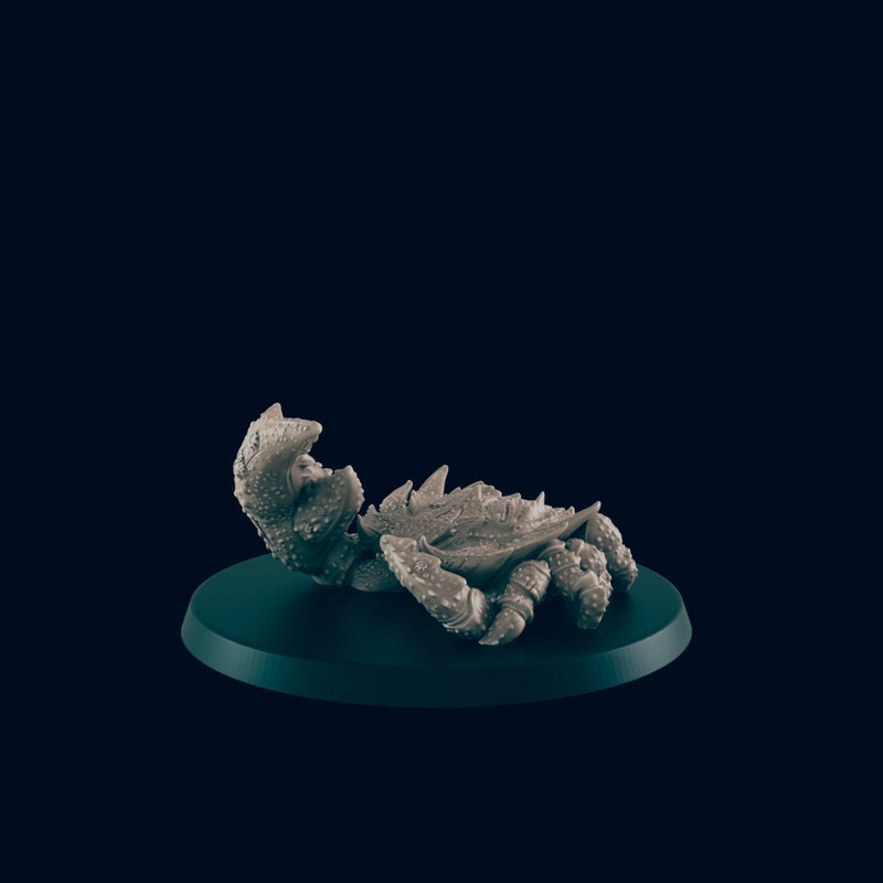 Dire Crab - EC3D, DnD | Animal | Monster| 5E | Large | 32mm | Pathfinder | Fantasy | Wargaming | Druid Form | 28mm | Sea | Ocean | Deep-1