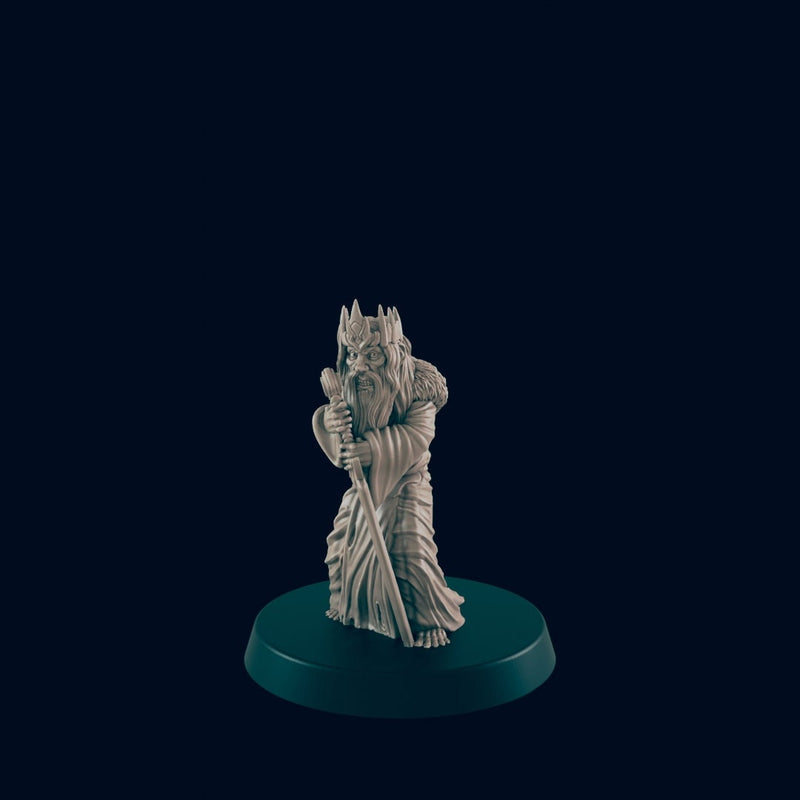 Mad King - EC3D, DnD miniature | Human | 5E | Lord | 28mm | Fantasy | Commoner | Villager | Warlock | Wizard | Evil-1