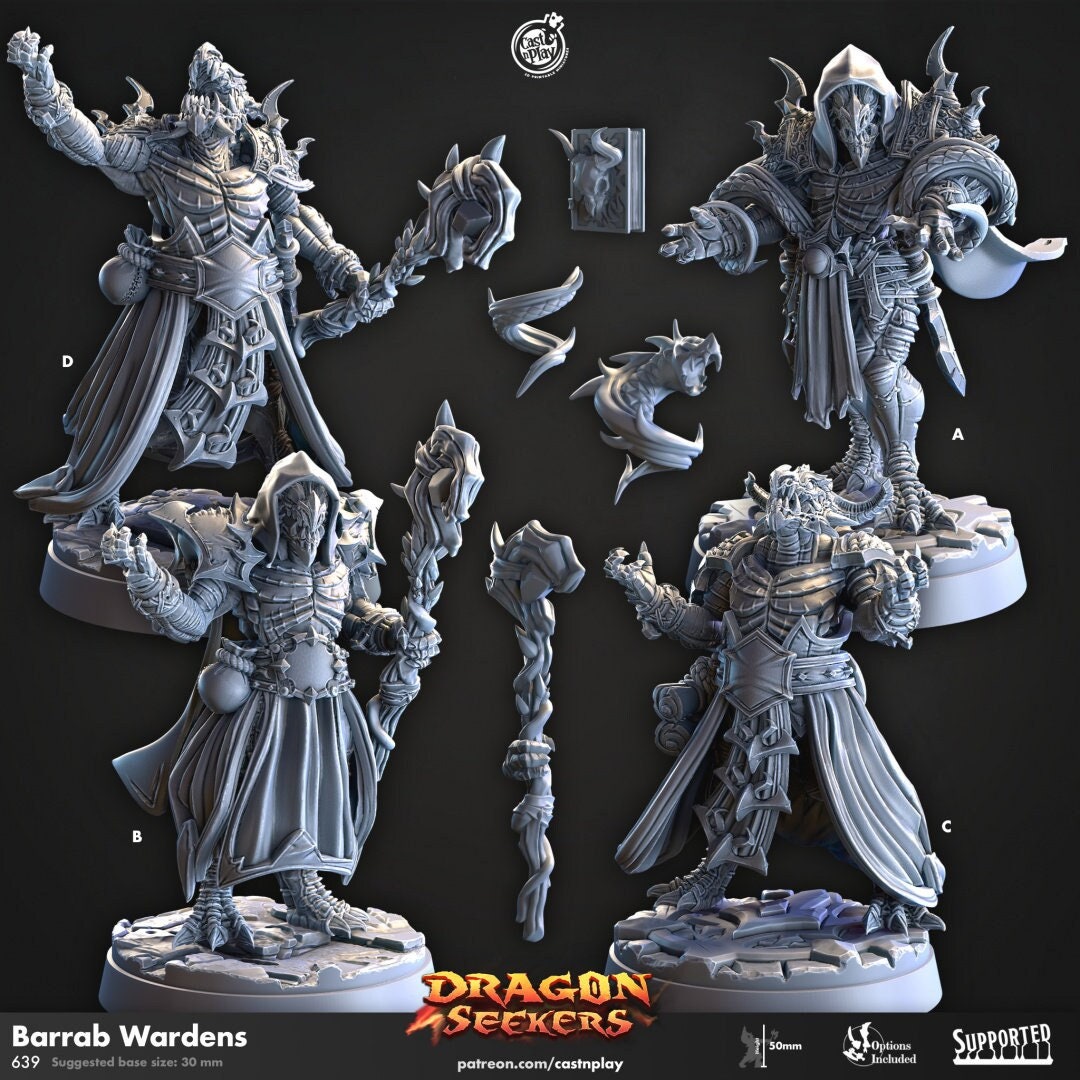 Barrab Wardens - Cast n Play Dragon Seekers | DnD Miniature | Dragonborn | Wizard | Sorcerer | Warlock | Male | Magic | Alchemist | Summoner-1