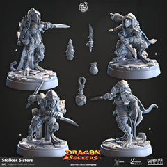 Stalker Sisters - Cast n Play Dragon Seekers | DnD Miniature | Dragonborn | Rogue, Ranger, Fighter, Assassin, Female, Ranged, Melee, Stealth-1