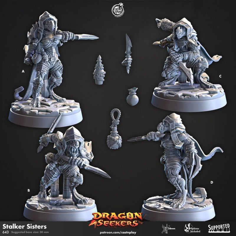 Stalker Sisters - Cast n Play Dragon Seekers | DnD Miniature | Dragonborn | Rogue, Ranger, Fighter, Assassin, Female, Ranged, Melee, Stealth-1