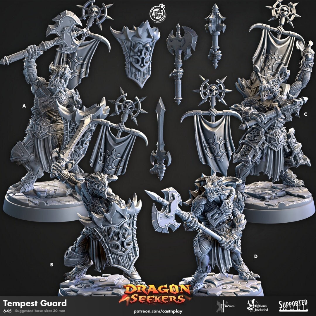 Tempest Guard - Cast n Play Dragon Seekers | DnD Miniature | Dragonborn | Male | Fighter | Paladin | Cleric | Barbarian | Warrior | Melee-1