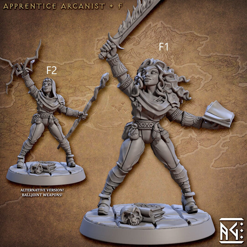 Apprentice Arcanists - Artisan Guild | Human | Elf | Wizard | Sorcerer | Warlock | Male | Female | Fantasy | Magic | DnD | Pathfinder-7