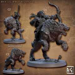 Orr'ugs Wolf Riders - Artisan Guild | Wolf | Fantasy | DnD | Pathfinder | Companion | Half Orc | Fighter | Ranger | Plains | Steppe | Animal-6