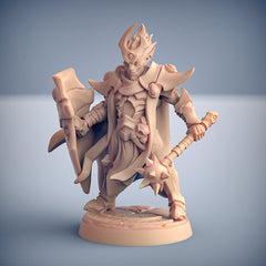 Ashen Alfar Inquisitors - Artisans Guild Dnd Miniature | Male | Female | Elf | Vampire | Fighter | Melee | | Pathfinder | Paladin | Cleric-6