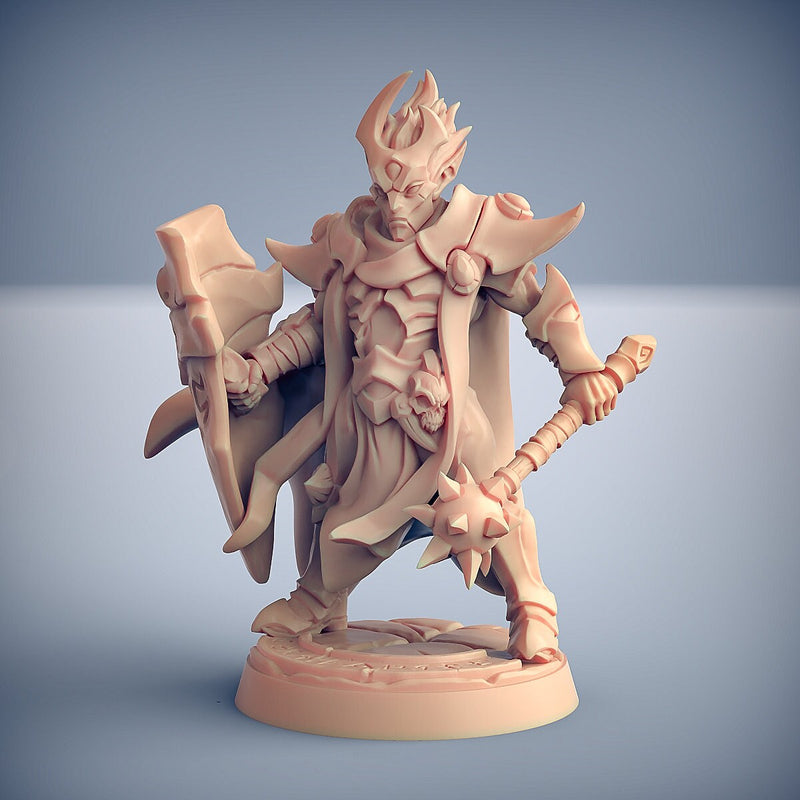 Ashen Alfar Inquisitors - Artisans Guild Dnd Miniature | Male | Female | Elf | Vampire | Fighter | Melee | | Pathfinder | Paladin | Cleric-6